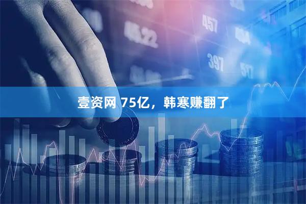 壹资网 75亿，韩寒赚翻了