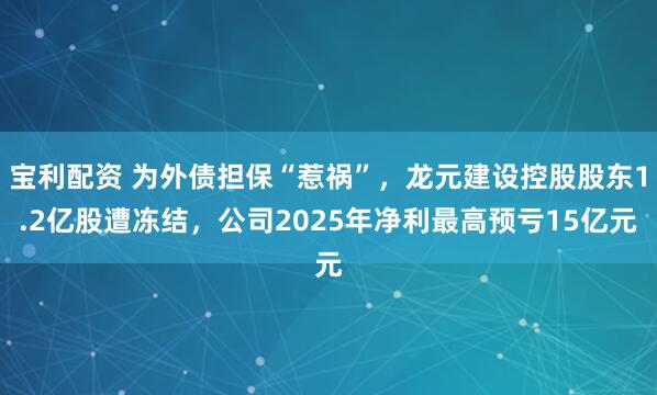宝利配资 为外债担保“惹祸”，龙元建设控股股东1.2亿股遭冻结，公司2025年净利最高预亏15亿元
