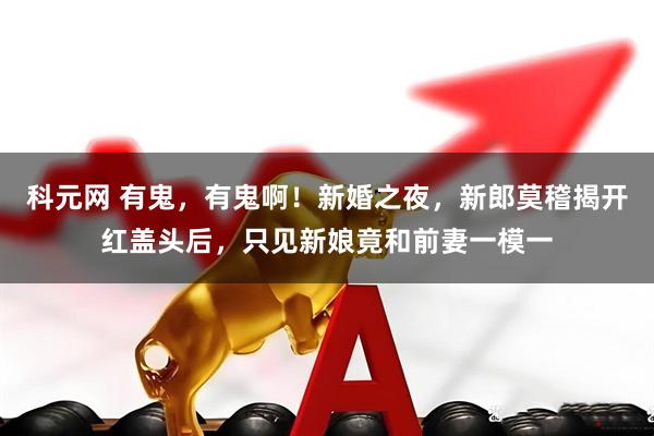 科元网 有鬼，有鬼啊！新婚之夜，新郎莫稽揭开红盖头后，只见新娘竟和前妻一模一